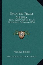 Escaped From Siberia: The Adventures Of Three Distressed Fugitives (1894)