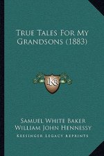 True Tales For My Grandsons (1883)