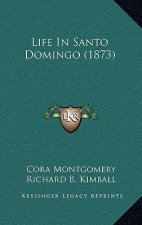 Life In Santo Domingo (1873)