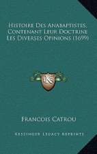 Histoire Des Anabaptistes, Contenant Leur Doctrine Les Diverses Opinions (1699)