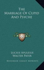 The Marriage Of Cupid And Psyche