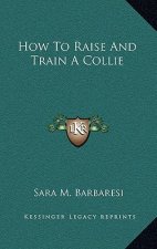 How To Raise And Train A Collie
