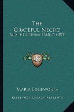 The Grateful Negro: And The Birthday Present (1874)