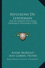 Reflexions Du Lendemain: Sur Les Arretes Pris Dans L'Assemblee Nationale (1789)