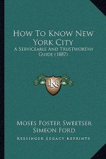 How To Know New York City: A Serviceable And Trustworthy Guide (1887)