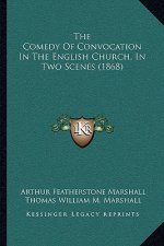 The Comedy Of Convocation In The English Church, In Two Scenes (1868)