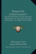 Primitive Christianity: Or The Religion Of The Ancient Christians In The First Ages Of The Gospel, In Three Parts (1825)