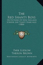 The Red Shanty Boys: Or Pictures Of New England School Life Thirty Years Ago (1884)