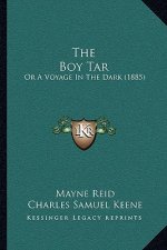 The Boy Tar: Or A Voyage In The Dark (1885)