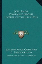 Joh. Amos Comenius' Grosse Unterrichtslehre (1891)