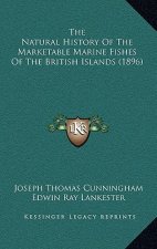 The Natural History Of The Marketable Marine Fishes Of The British Islands (1896)