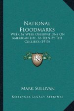 National Floodmarks: Week By Week Observations On American Life, As Seen By The Collier's (1915)