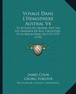 Voyage Dans L'Hemisphere Austral V4: Et Autour Du Monde, Fait Sur Les Vaisseaux De Roi, L'Aventure, Et La Resolution, En 1772-1775 (1778)