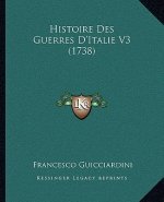 Histoire Des Guerres D'Italie V3 (1738)