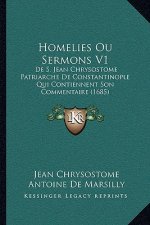 Homelies Ou Sermons V1: De S. Jean Chrysostome Patriarche De Constantinople Qui Contiennent Son Commentaire (1685)