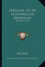 Steiloor, Of De Schynheilige Bedrieger: Blyspel (1713)