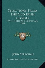 Selections From The Old Irish Glosses: With Notes And Vocabulary (1904)