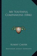 My Youthful Companions (1846)