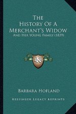The History Of A Merchant's Widow: And Her Young Family (1839)