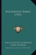 Wilderness Babies (1905)
