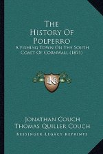 The History Of Polperro: A Fishing Town On The South Coast Of Cornwall (1871)