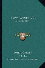 Two Wives V2: A Novel (1884)