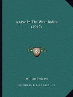 Agave In The West Indies (1912)