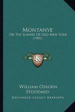 Montanye: Or The Slavers Of Old New York (1901)
