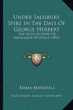 Under Salisbury Spire In The Days Of George Herbert: The Recollections Of Magdalene Wydville (1892)