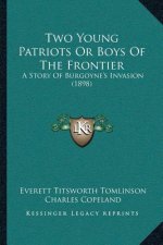 Two Young Patriots Or Boys Of The Frontier: A Story Of Burgoyne's Invasion (1898)