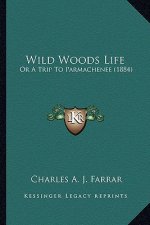 Wild Woods Life: Or A Trip To Parmachenee (1884)