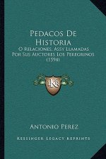 Pedacos De Historia: O Relaciones, Assy Llamadas Por Sus Auctores Los Peregrinos (1594)