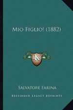 Mio Figlio! (1882)