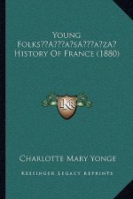 Young Folks' History Of France (1880)