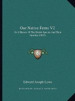 Our Native Ferns V2: Or A History Of The British Species And Their Varieties (1867)
