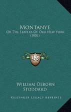 Montanye: Or The Slavers Of Old New York (1901)