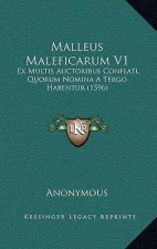 Malleus Maleficarum V1: Ex Multis Auctoribus Conflati, Quorum Nomina A Tergo Habentur (1596)