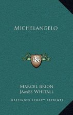 Michelangelo