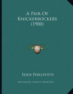 A Pair Of Knickerbockers (1900)