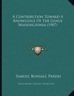 A Contribution Toward A Knowledge Of The Genus Washingtonia (1907)
