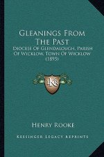 Gleanings From The Past: Diocese Of Glendalough, Parish Of Wicklow, Town Of Wicklow (1895)