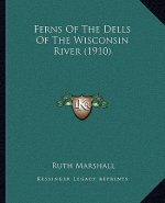 Ferns Of The Dells Of The Wisconsin River (1910)