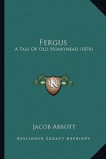 Fergus: A Tale Of Old Hoaryhead (1874)