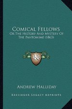 Comical Fellows: Or The History And Mystery Of The Pantomime (1863)