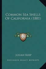Common Sea Shells Of California (1881)
