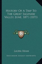 History Of A Trip To The Great Saginaw Valley, June, 1871 (1871)