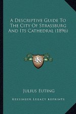 A Descriptive Guide To The City Of Strassburg And Its Cathedral (1896)