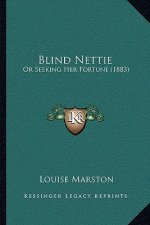 Blind Nettie: Or Seeking Her Fortune (1883)