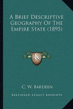 A Brief Descriptive Geography Of The Empire State (1895)