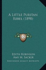 A Little Puritan Rebel (1898)